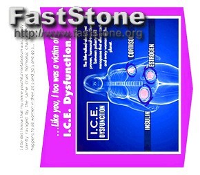 Mspy Whatsapp Takibi